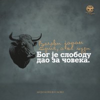 MK slovo - Šantić - Premijum muška majica - bordo